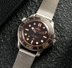 Omeg_a Seamaster Diver 300 Automatic Maroon Ring